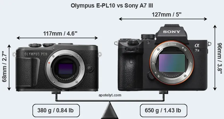 Size Olympus E-PL10 vs Sony A7 III