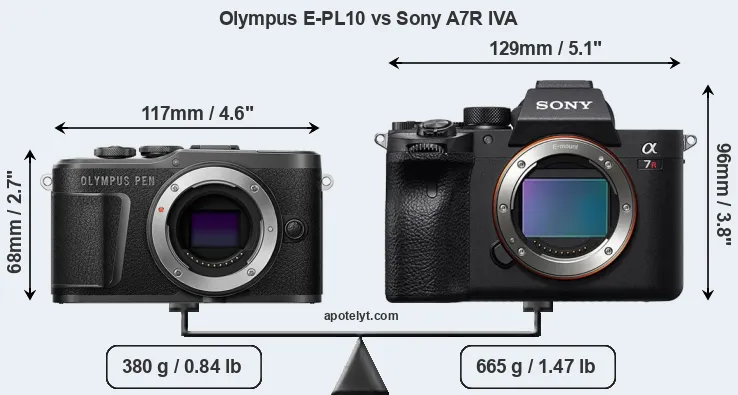 Size Olympus E-PL10 vs Sony A7R IVA