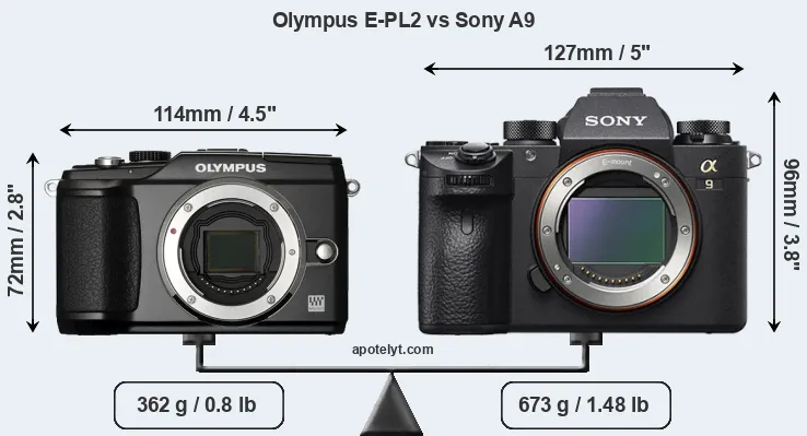 Size Olympus E-PL2 vs Sony A9