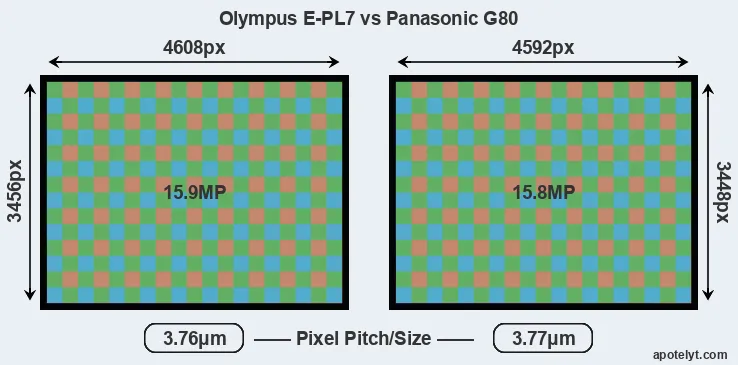 E-PL7 versus G80 MP