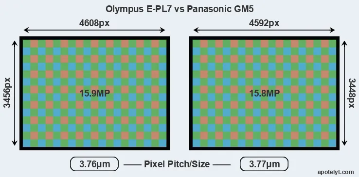 E-PL7 versus GM5 MP