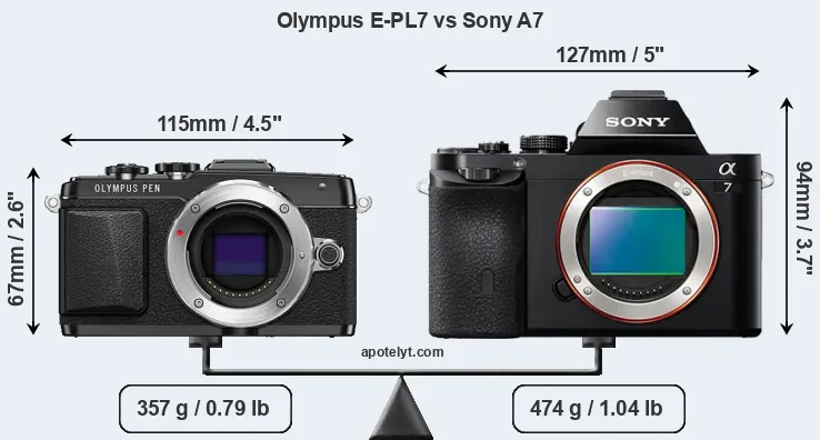 Size Olympus E-PL7 vs Sony A7