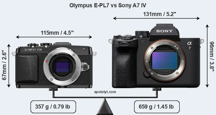 Size Olympus E-PL7 vs Sony A7 IV