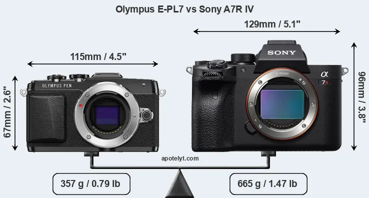 Size Olympus E-PL7 vs Sony A7R IV