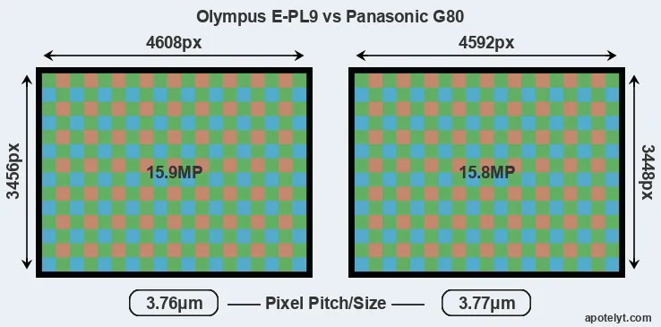 E-PL9 versus G80 MP