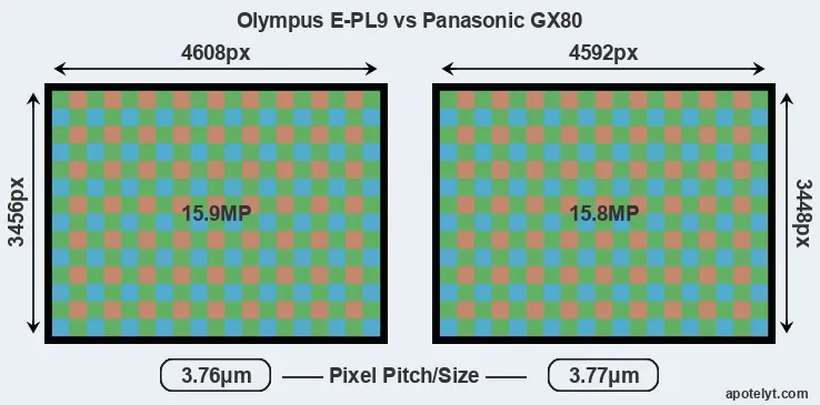 E-PL9 versus GX80 MP