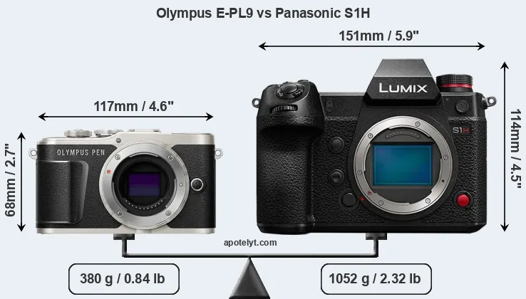 Size Olympus E-PL9 vs Panasonic S1H