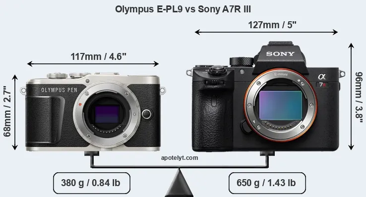 Size Olympus E-PL9 vs Sony A7R III