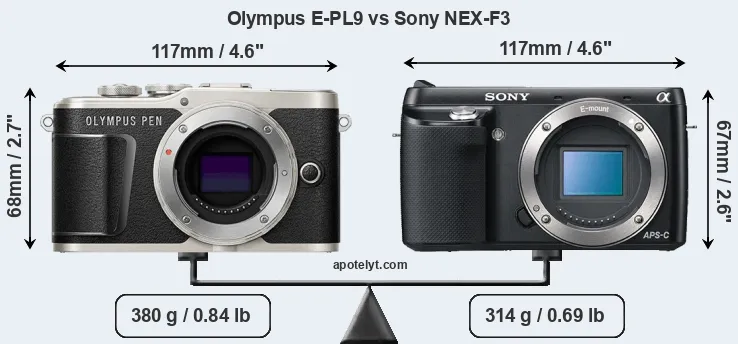 Size Olympus E-PL9 vs Sony NEX-F3