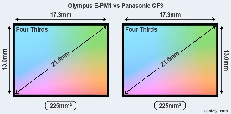 Olympus E-PM1 and Panasonic GF3 sensor measures