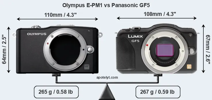 Size Olympus E-PM1 vs Panasonic GF5