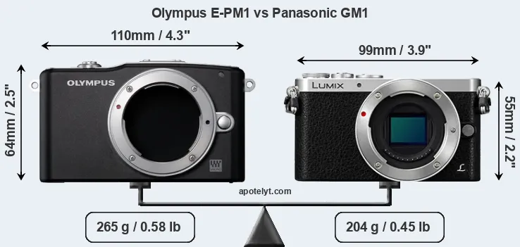 Size Olympus E-PM1 vs Panasonic GM1