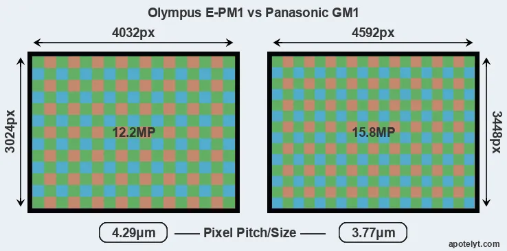 E-PM1 versus GM1 MP