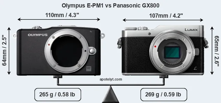 Size Olympus E-PM1 vs Panasonic GX800