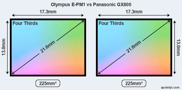 Olympus E-PM1 and Panasonic GX800 sensor measures
