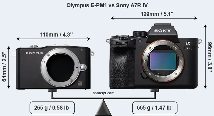 Size Olympus E-PM1 vs Sony A7R IV