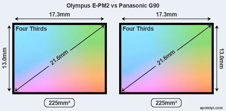 Olympus E-PM2 and Panasonic G90 sensor measures