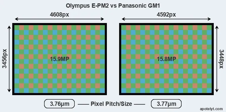 E-PM2 versus GM1 MP