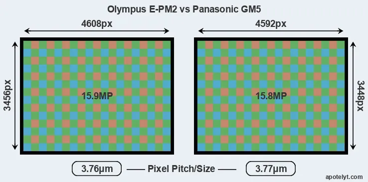 E-PM2 versus GM5 MP
