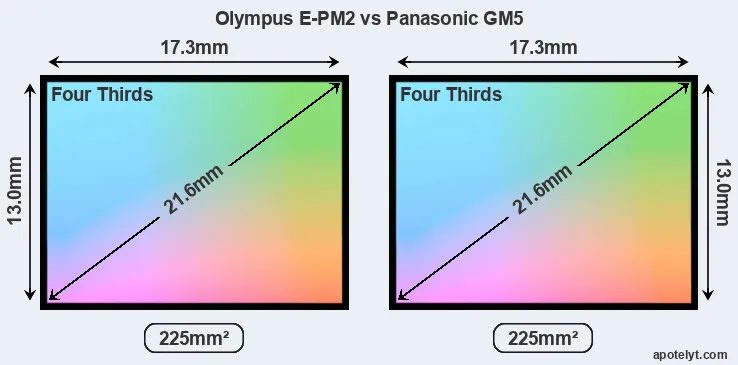 Olympus E-PM2 and Panasonic GM5 sensor measures