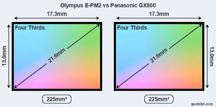 Olympus E-PM2 and Panasonic GX800 sensor measures