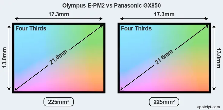 Olympus E-PM2 and Panasonic GX850 sensor measures