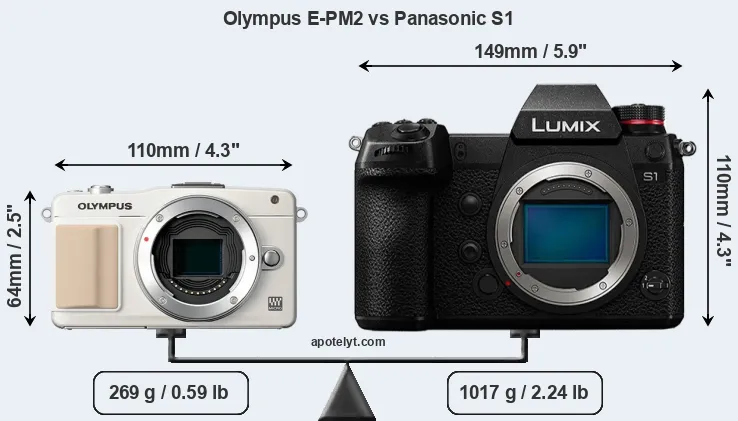 Size Olympus E-PM2 vs Panasonic S1