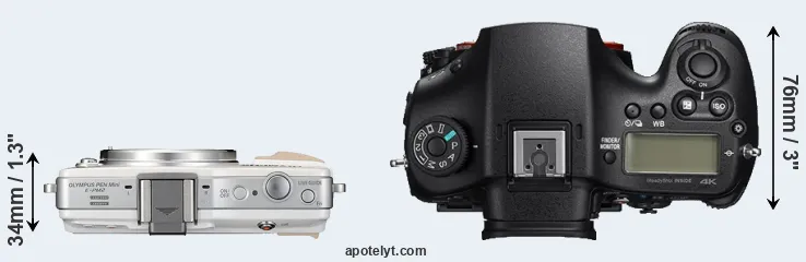 Compare E-PM2 versus A99 II top