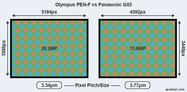 PEN-F versus G85 MP