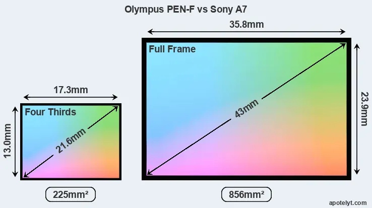 Olympus PEN-F and Sony A7 sensor measures