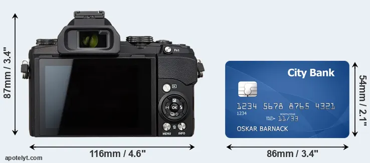 Stylus 1s and credit card rear side