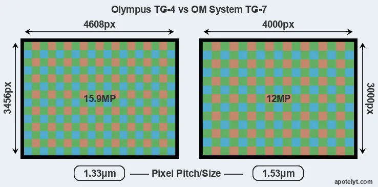 TG-4 versus TG-7 MP