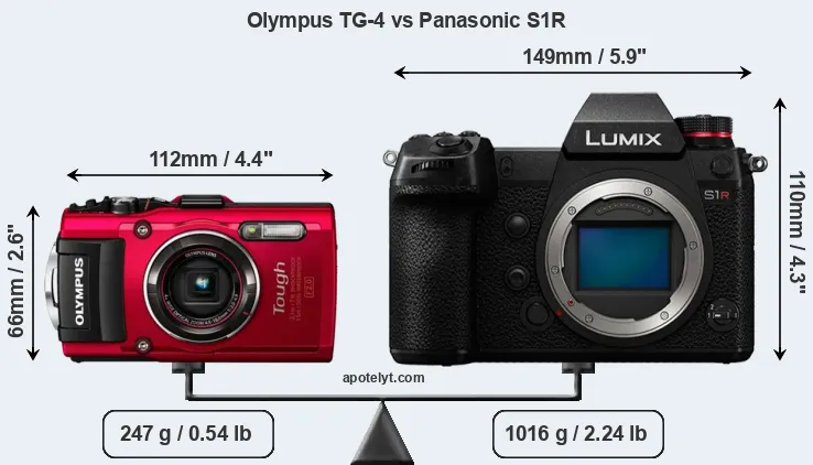 Size Olympus TG-4 vs Panasonic S1R