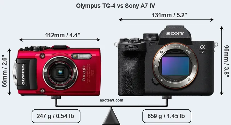 Size Olympus TG-4 vs Sony A7 IV