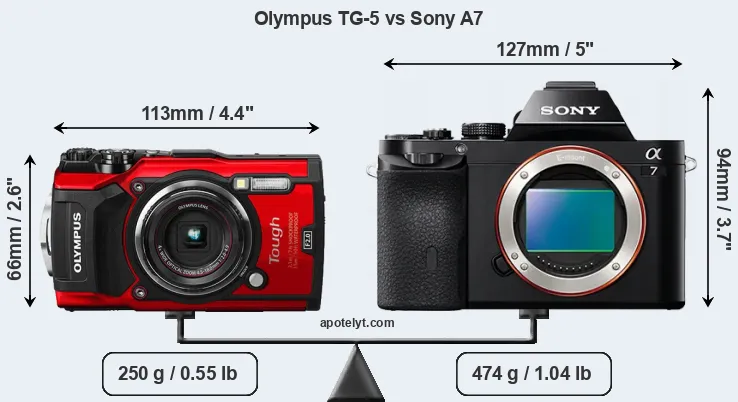 Size Olympus TG-5 vs Sony A7