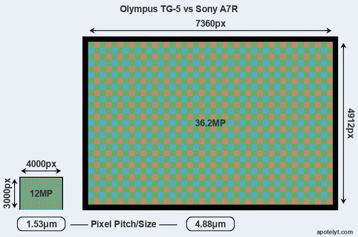 TG-5 versus A7R MP
