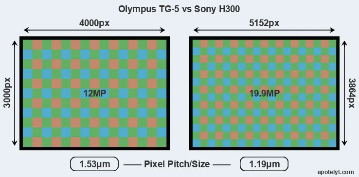 TG-5 versus H300 MP