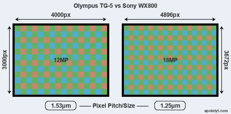 TG-5 versus WX800 MP