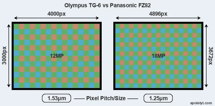 TG-6 versus FZ82 MP