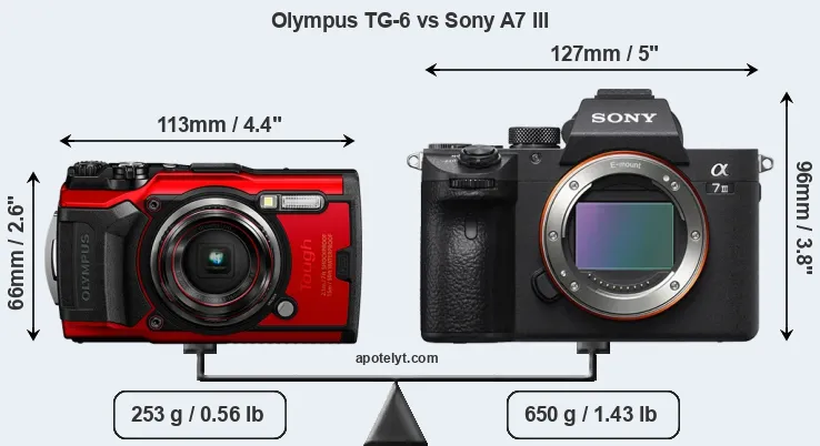Size Olympus TG-6 vs Sony A7 III