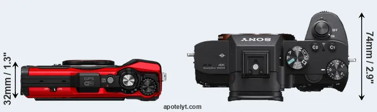 Compare TG-6 versus A7 III top