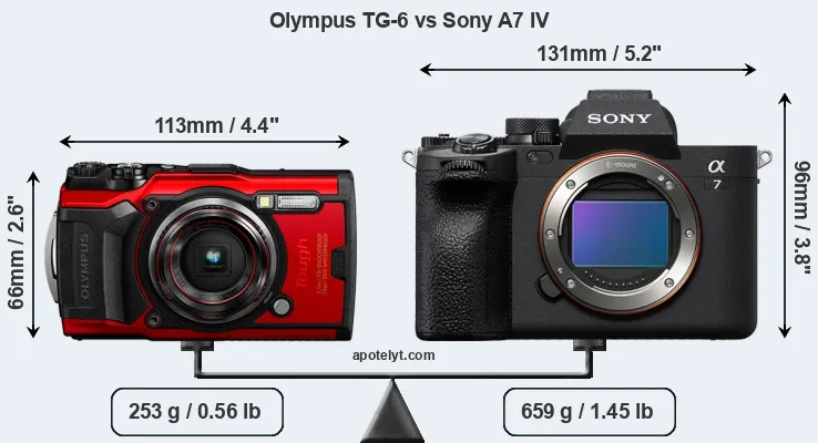 Size Olympus TG-6 vs Sony A7 IV