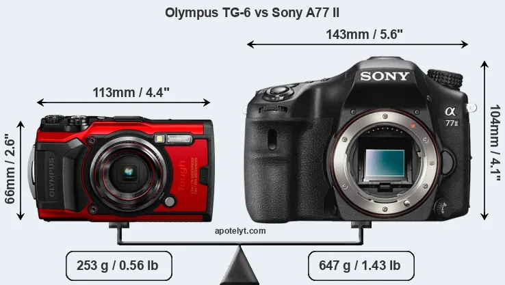 Size Olympus TG-6 vs Sony A77 II