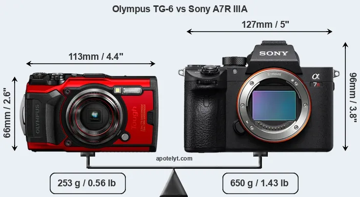 Size Olympus TG-6 vs Sony A7R IIIA