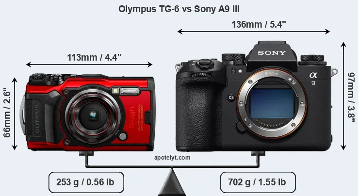Size Olympus TG-6 vs Sony A9 III