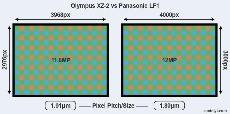 XZ-2 versus LF1 MP