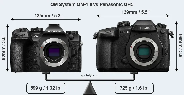 Size OM System OM-1 II vs Panasonic GH5