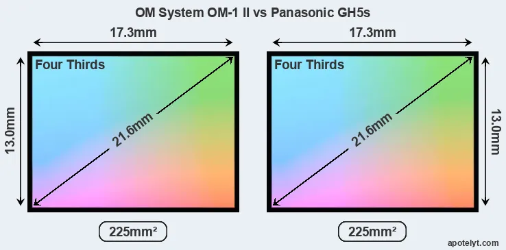OM System OM-1 II and Panasonic GH5s sensor measures