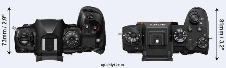 Compare OM-1 II versus A1 top