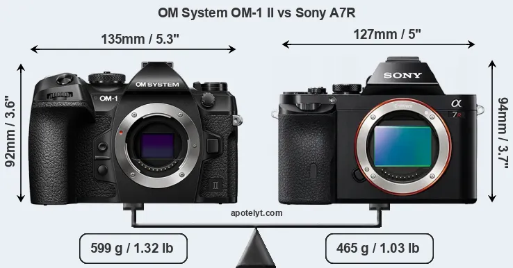 Size OM System OM-1 II vs Sony A7R